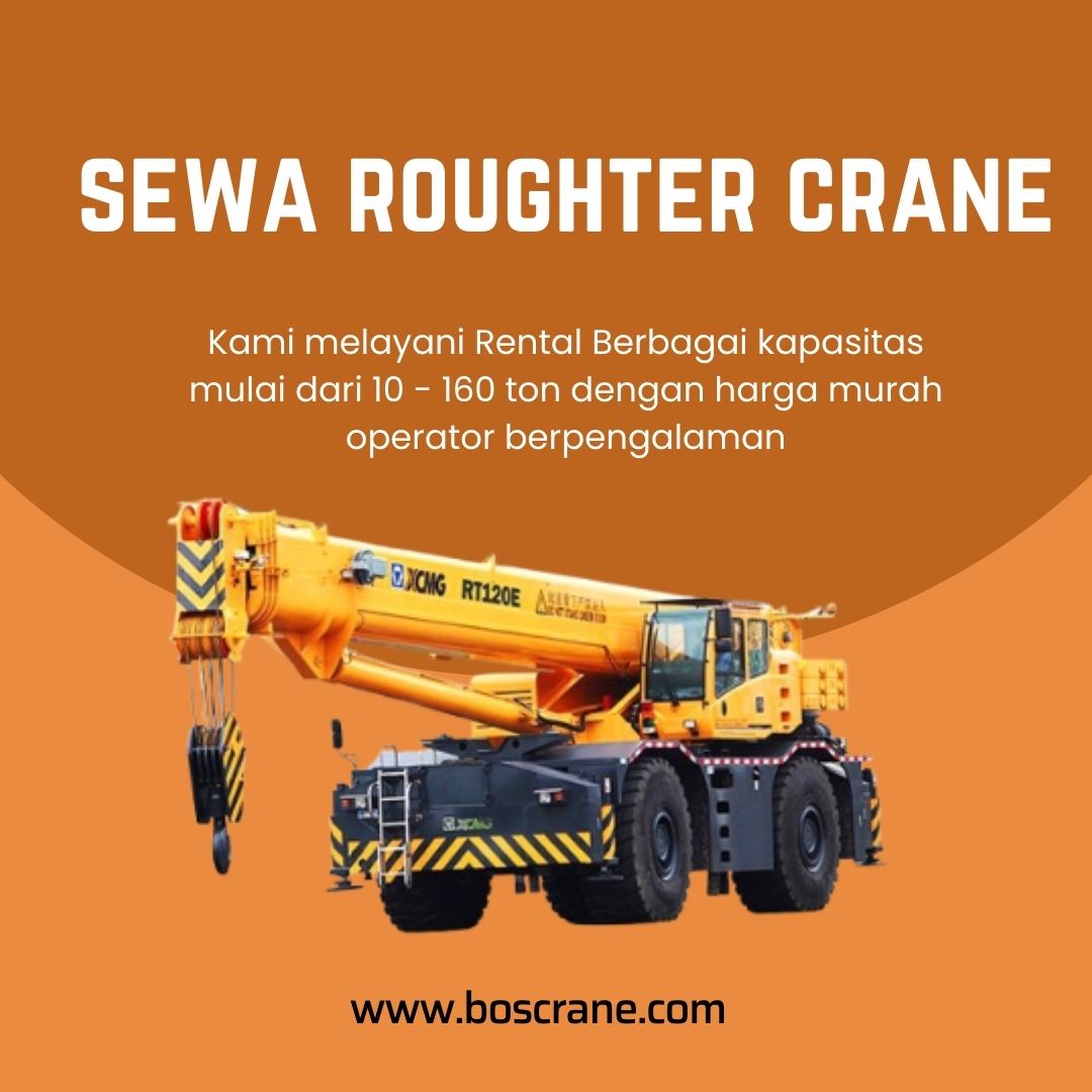 Sewa Roughter Crane